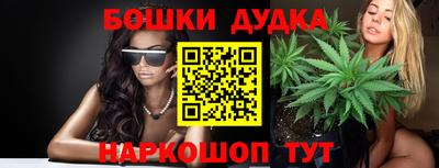 дмт Обь