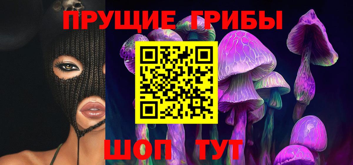 Галлюциногенные грибы Cubensis  Вход с VPN  Сергиев Посад  Галлюциногенные грибы прущие грибы 